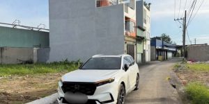 BÁN ĐẤT BÌNH TÂN.Đất đường nhựa xe tải vào tới đất.