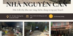 Đất vàng 1.045m- Láng Hòa Lạc - Sát ĐHQG Hà Nội, gần QL21A - Bán hoặc cho thuê