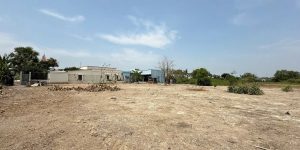 CHÍNH CHỦ CẦN BÁN LÔ ĐẤT ĐẸP TẠI XÃ LÝ NHƠN – HUYỆN CẦN GIỜ, TP. HỒ CHÍ MINH