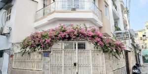 GIẢM 500 TRIỆU CÒN 6.8 TỶ  42M2 (4.3x10)  LÔ GÓC 2 MẶT THOÁNG