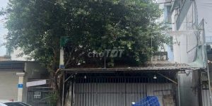 BÁN ĐẤT TẶNG NHÀ Mặt Tiền Đường 12m Nguyễn Thị Tuôi, Xã Vĩnh Lộc A, H. Bình