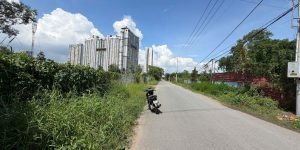 Hàng ngộp mặt tiền Đào Trí Quận 7 hơn 6.000m2 - Có dòng tiền cho thuê, giá cực