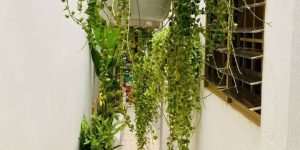 Bán nhà mới 52m² Hoà Hưng – Không gian sáng thoáng, thiết kế hiện đại, giá 6.35