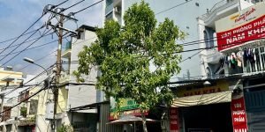 BÁN NHÀ MẶT TIỀN KINH DOANH BÙI MINH TRỰC – P.6 QUẬN 8 – 80M2– 12 TỶ – LH