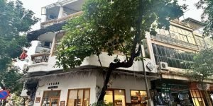 Bán Nhà Phố Vọng, Hai Bà Trưng 150m2 Lô Góc MT 20m Vỉ Hè Kinh Doanh 52.8 tỷ