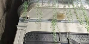 NHÀ PHẠM VĂN CHIÊU – SÁT CHỢ THẠCH ĐÀ – 22M² – CHỈ 3.35 TỶ
