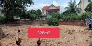 BÁN ĐẤT LỆ CHI – GIA LÂM, HÀ NỘI  MẶT TIỀN RỘNG HƠN 15M – Ô TÔ VÀO TẬN ĐẤT