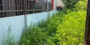 CẦN BÁN 40,6 m2 ĐÀO XUYÊN - BÁT TRÀNG, GIÁ CHỈ 3,25 TỶ, LH 09885865658