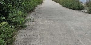 CHÍNH CHỦ BÁN GẤP ĐẤT THỔ CƯ BÌNH CHÁNH – 350M² – GIÁ 5,7 TỶ