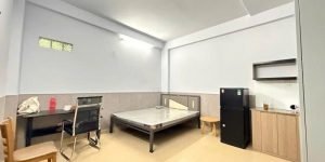 Bán Nhà HXH 6m Hoàng Hoa Thám - ngay Nguyễn Văn Đậu, 4,2x24m, 6 Tầng, 13PN,
