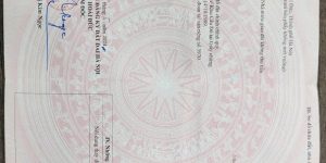 BÁN ĐẤT NÔNG NGHIỆP – VỊ TRÍ VÀNG, GẦN ĐẠI LỘ THĂNG LONG – SONG PHƯƠNG, HOÀI ĐỨC