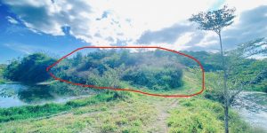 1 lô đất thuộc xã ninh gia, đức trọng cũ, lâm đồng, sau bách hóa xanh đi vào