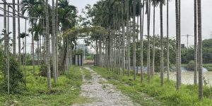 Cần bán trang trại chăn nuôi