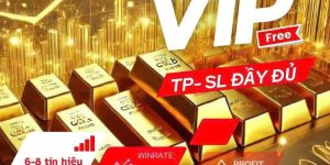 “Trade Vàng 1 Lệnh = 1 Tháng Lương?”