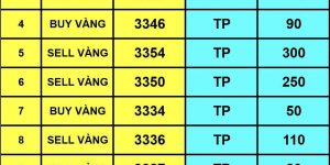 NHÓM TÍN HIỆU VIP HỖ TRỢ ĐẦU TƯ AN TOÀN
