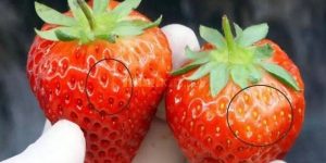 Tìm bạn gái tuổi 30 đến 40 phù hợp để kết hôn.