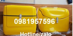 Thùng chở  sau xe máy, Thùng chở hàng composite giá rẻ tại Hà Nội