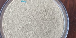 Betaglucan Yeast Cell Wall, tăng cường hệ miễn dịch cho vật nuôi