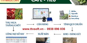 Phần mềm thu mua cà phê - tiêu
