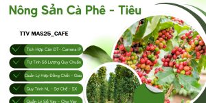 Phần mềm thu mua cà phê – tiêu