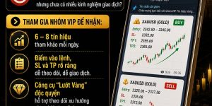 THAM GIA NHÓM VIP TÍN HIỆU THỊ TRƯỜNG