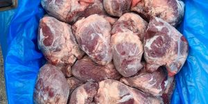 Bán Buôn Tim Heo Nhập Khẩu Giá Rẻ