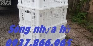 Sọt chế biến thực phẩm trong kho lạnh, sọt nhựa rỗng- sóng hở