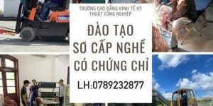 ĐÀO TẠO XE NÂNG-MÁY XÚC-MÁY CẨU CẤP CHỨNG CHỈ TẠI HẢI PHÒNG