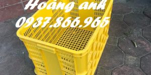 Sóng nhựa hở cao 31, sọt nhựa rỗng, sọt nhựa nguyên sinh, sóng nhựa du