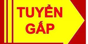Tuyển Nữ chuyên viên hồ sơ ngành hoá mỹ phẩm