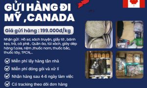 Gửi hàng đi Mỹ, Canada giá rẻ bất ngờ