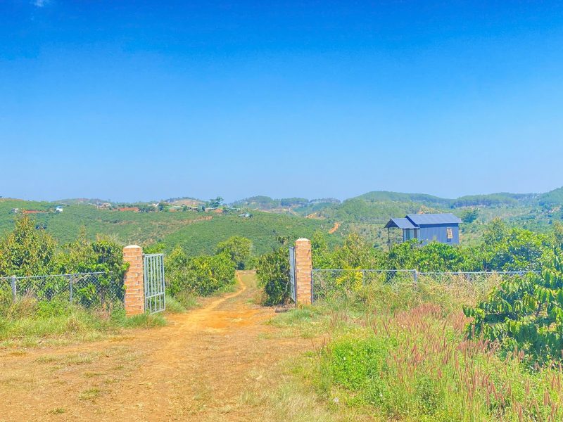 dat-hem-ql28b-ninh-gia-duc-trong-cu-lam-dong-3-7-hec-ta-37-000m2-