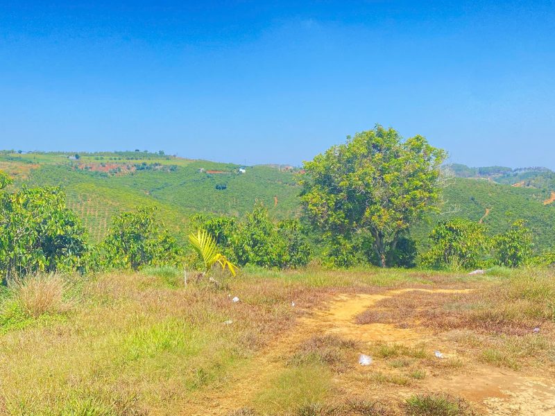 dat-hem-ql28b-ninh-gia-duc-trong-cu-lam-dong-3-7-hec-ta-37-000m2-