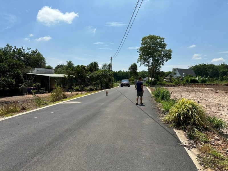 ban-re-5-mieng-25x25-625m2-gia-260trieu-tho-cu-so-hong-rieng-sat-kcn