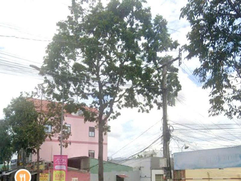 lo-dat-goc-mat-tien-nguyen-cong-binh-rong-8-ngang-cach-nga-tu-ql60-sieu-thi-go