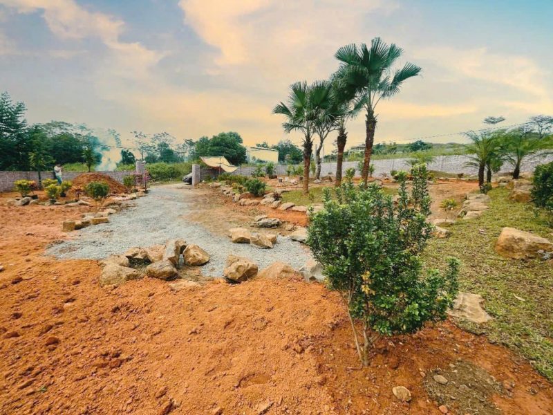 ban-nhanh-gia-dau-tu-14tr-863m-yen-xuan-quoc-oai-sat-truc-chinh-view-thoang-mat