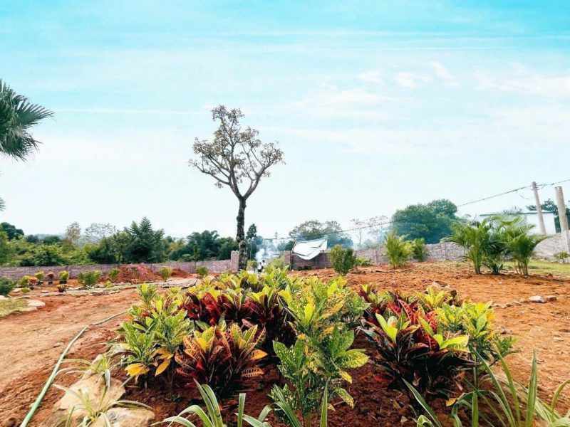 ban-nhanh-gia-dau-tu-14tr-863m-yen-xuan-quoc-oai-sat-truc-chinh-view-thoang-mat