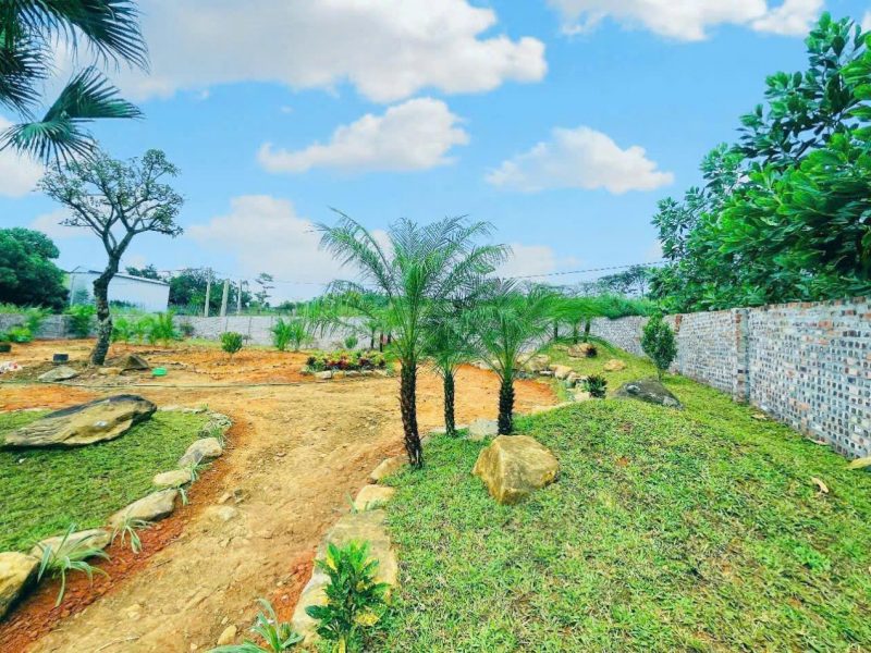 ban-nhanh-gia-dau-tu-14tr-863m-yen-xuan-quoc-oai-sat-truc-chinh-view-thoang-mat