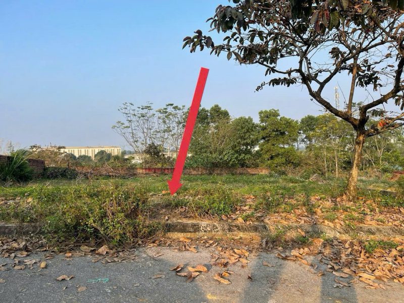 100m2-tai-dinh-cu-vai-reo-gia-cat-lo