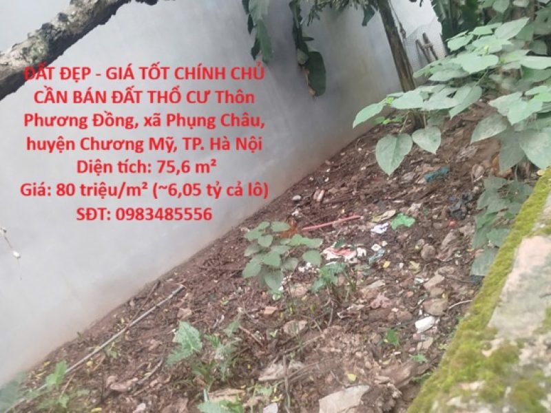 dat-dep-gia-tot-chinh-chu-can-ban-dat-tho-cu-xa-phung-chau-chuong-my-ha