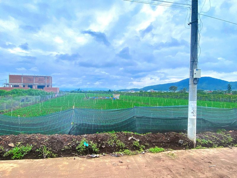 6-500m2-dat-lien-hiep-cu-lam-dong-2500m2-tho-cu-quy-hoach-full-hong
