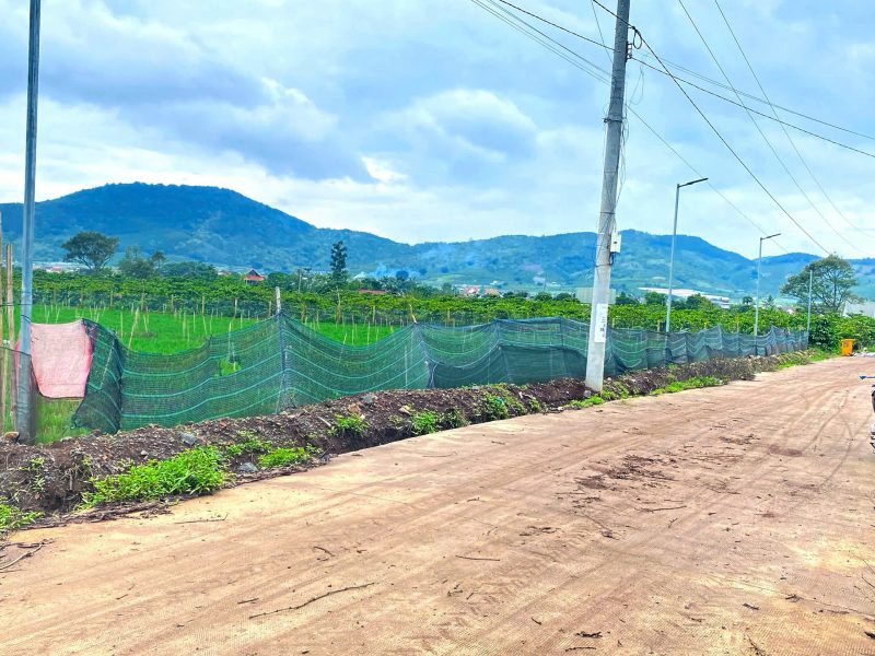 6-500m2-dat-lien-hiep-cu-lam-dong-2500m2-tho-cu-quy-hoach-full-hong