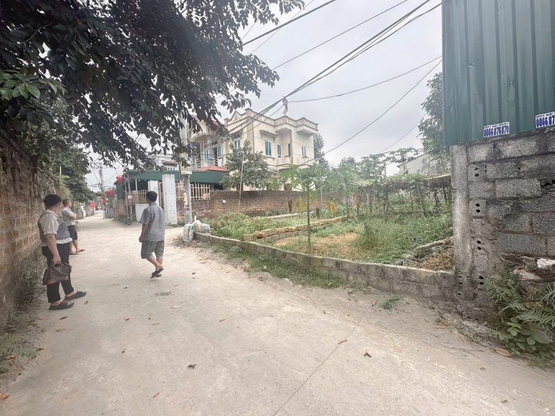 chinh-chu-can-ban-dat-tho-cu-dong-tam-my-duc-ha-noi-so-do-chinh-chu-1-3xx