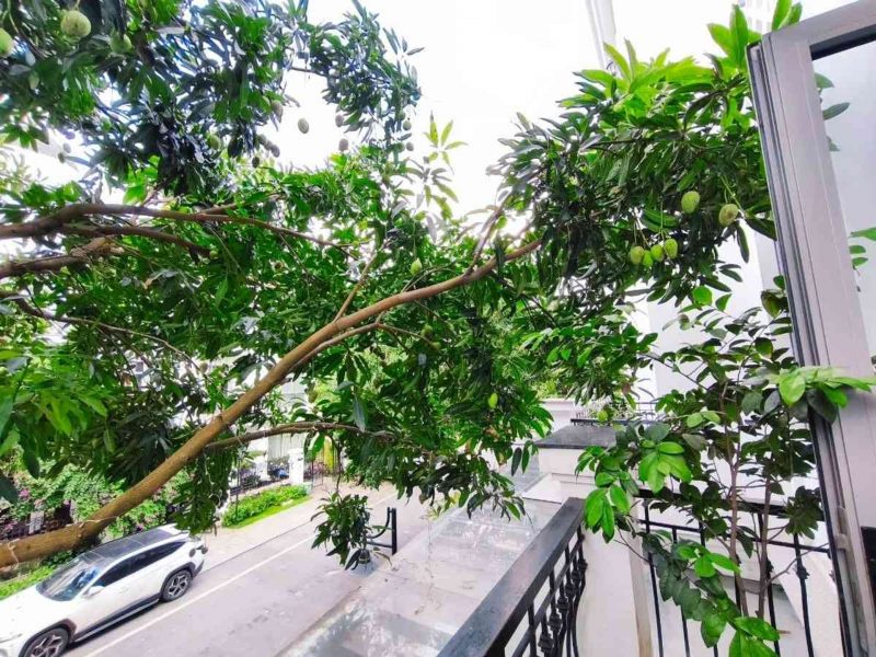 nha-that-vinhome-riverside-85m-gan-ho-dieu-hoa-37-ty-long-bien-ha-noi