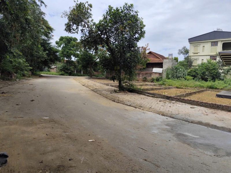 chinh-chu-can-tien-ban-nhanh-dat-tai-dinh-cu-phu-cat-hoa-lac-vi-tri-dep-