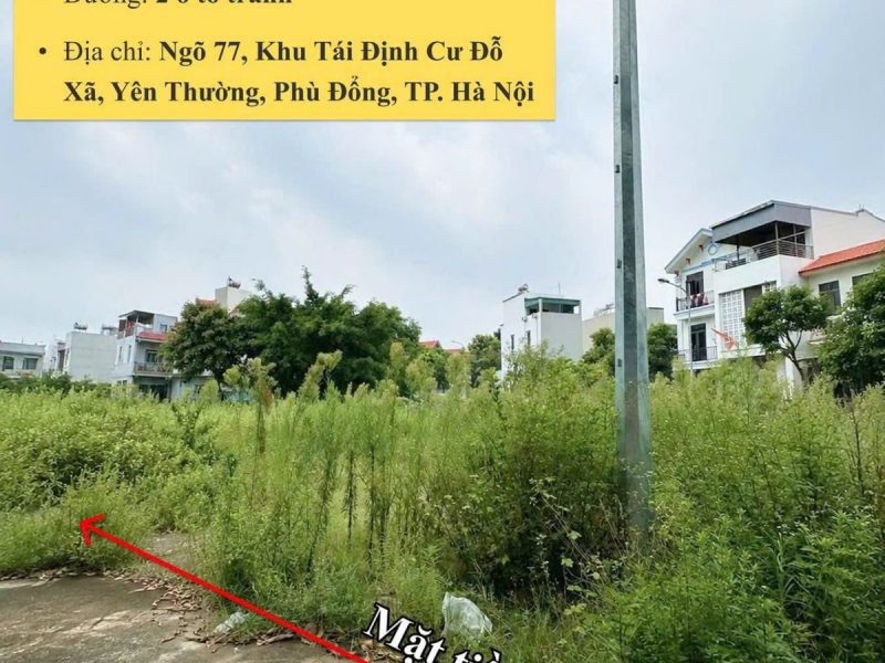 dat-dep-gia-tot-ban-nhanh-lo-dat-dau-tu-la-sinh-loi-tai-yen-thuong-phu-dong