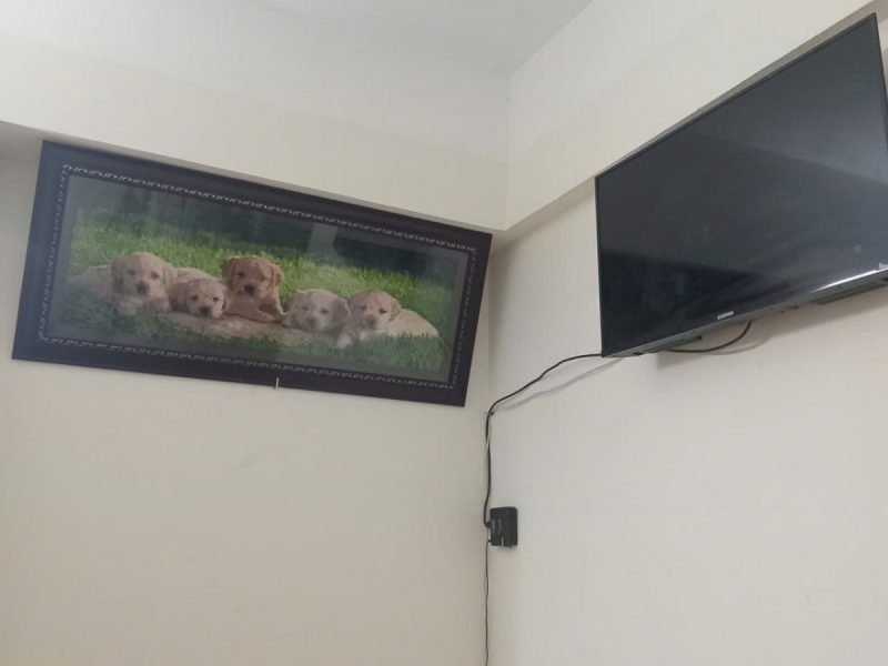 chinh-chu-cho-thue-can-ho-chung-cu-nam-trung-yen-yen-hoa-ha-noi