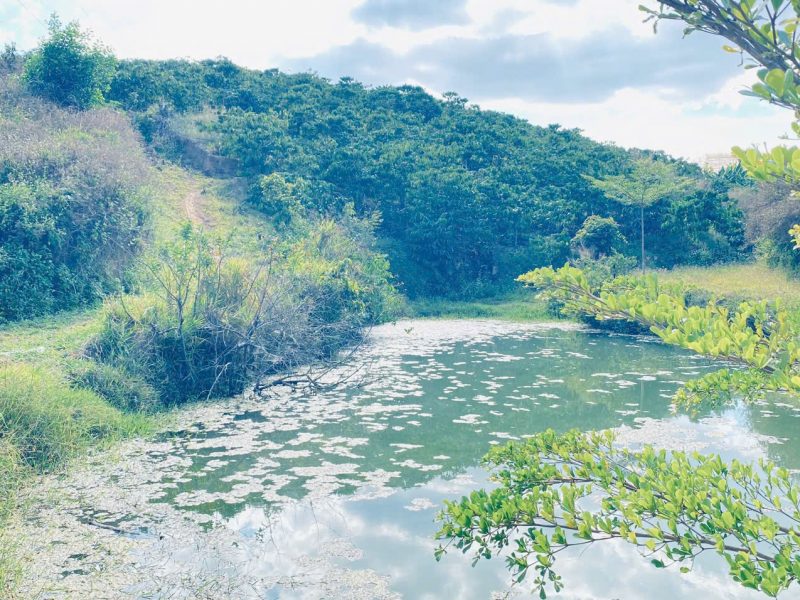 1-lo-dat-thuoc-xa-ninh-gia-duc-trong-cu-lam-dong-sau-bach-hoa-xanh-di-vao
