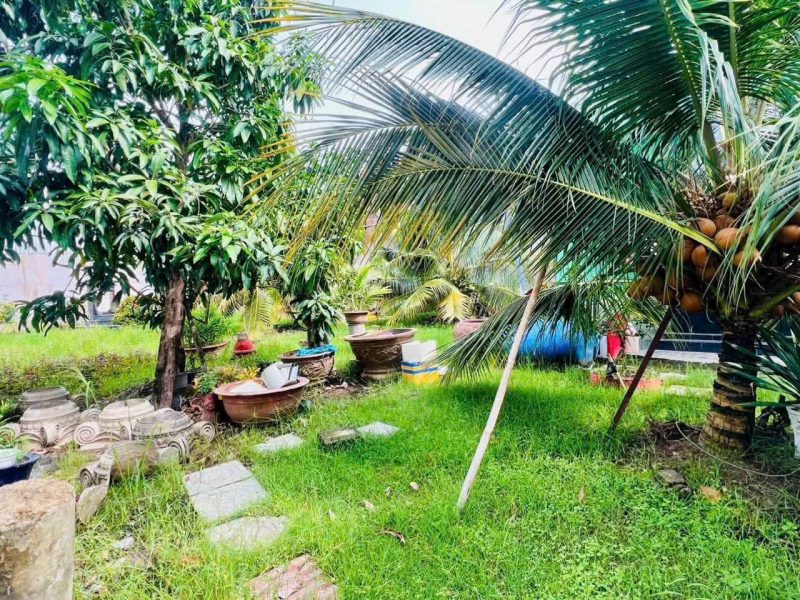 mat-tien-ql60-chau-thanh-ben-tre-can-sang-nhuong-lai-sieu-biet-thu-san-vuon