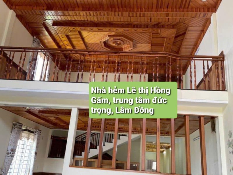 ban-nha-1-tret-1-lau-hem-le-thi-hong-gam-lien-nghia-duc-trong
